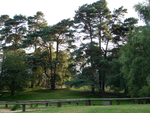Leith Hill - 07