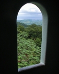 Rainforest Window