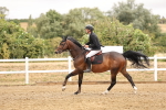 SBM_023668