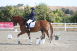 SBM_020228
