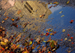 Art and Nature , Demeter Walks