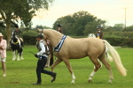 SBM_75189