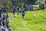 The Finish-1013