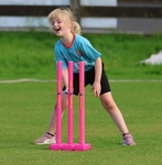 Netherfield CC All Stars & Dynamos (5/6/26) portfolio