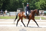 Rider 160 to 169 portfolio