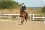SBM_000164