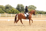 SBM_005429