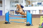 SBM_003908