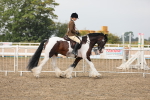 SBM_22431