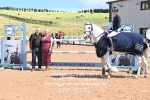 BPP_5791