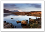 Golden glow ♦ LOCH ARKLET