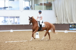 SBM_002605