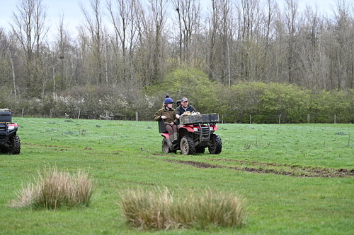 WJ7_1255