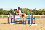 SBM_000493
