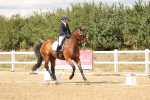 SBM_010526