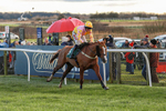 281224-Race 3-Pescatorius-1446