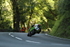 FOM_1339
