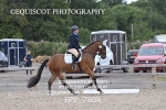 BPP_7804
