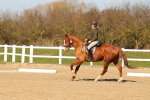 SBM_003446