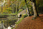 Autumn around Selkirk portfolio