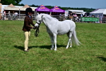 SBM_07810
