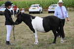 WJ6_5517