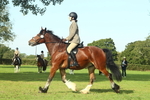 SBM_59938
