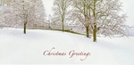Christmas in the Royal Crescent.  Xmas.