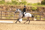 SBM_000446