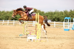 SBM_026202