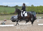 BPP_6273