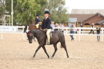 SBM_15991