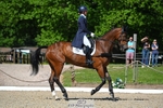 462-WOODLANDS_BE_DARING-Sasha_Hargreaves-DR portfolio