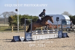 BPP_7261