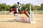 SBM_000377