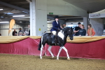 SBM_14879