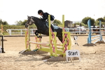 SBM_006620