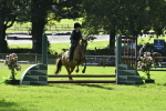S31 - Novice & Newcomer Working Hunter Pony portfolio
