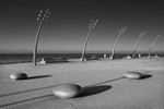Sham Rocks 01