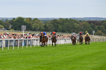 Race 6 4.30pm Return Of The Legend Martin Spencer Nursery Handicap portfolio