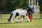 SBM_10572