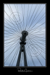 The London Eye