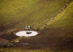 Cow and Dew Pond