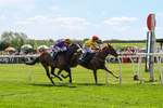 300526-Race 1-Forest Phoenix-0222