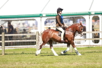 SBM_17682