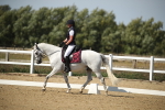 SBM_004246