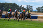 010826-Race 5-Asuka-3054