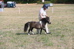 WJ6_6823