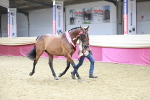 SBM_06672