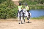 WJ6_8875